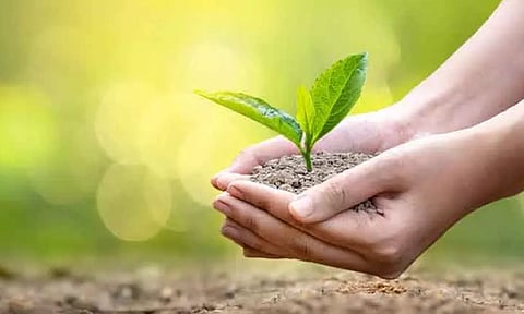 Representative image