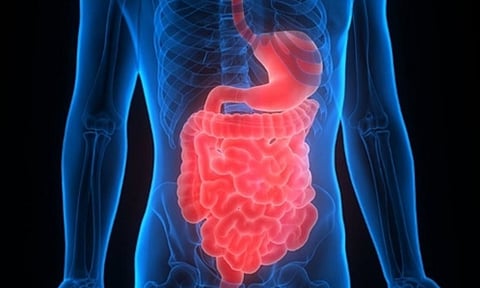 Representative Image (IANS)