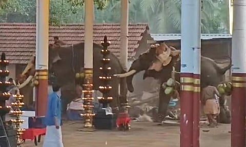 Screengrab from the viral video