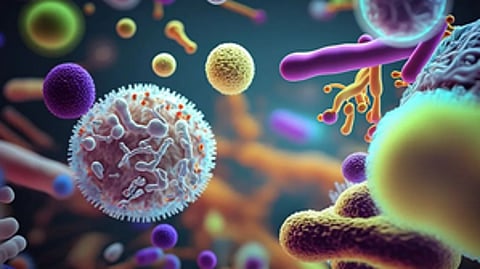 Representative image