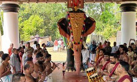 PETA India offers mechanical elephants after deadly attacks in Kerala