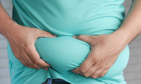 Representative Image (IANS)