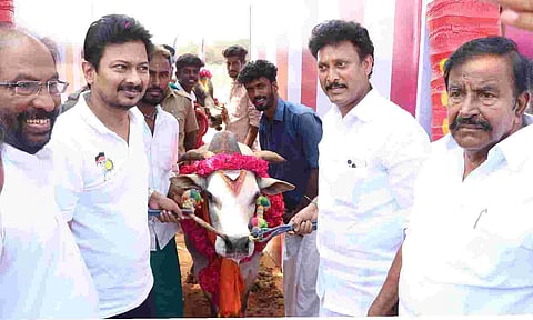 Deputy CM Udhayanidhi Stalin inaugurates works for Jallikattu arena in Tiruchy