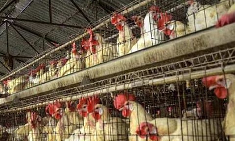 Representative Image (PTI) 