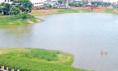 Chetpet Eco Park
