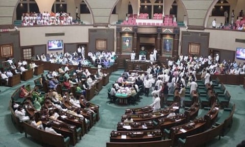 State Assembly (IANS)