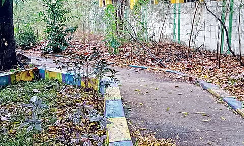 Uncleared dry leaves and garbage in My Lady park, Periamet in Royapuram zone