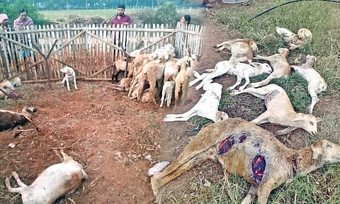 Representative image