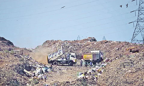 Dumpyard 