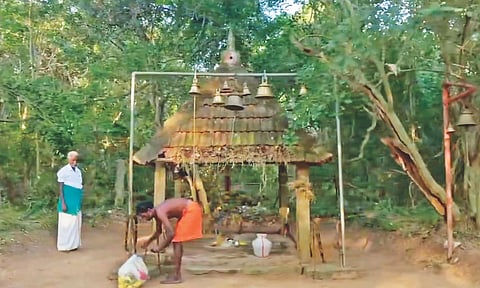 Veera Kovil Grove