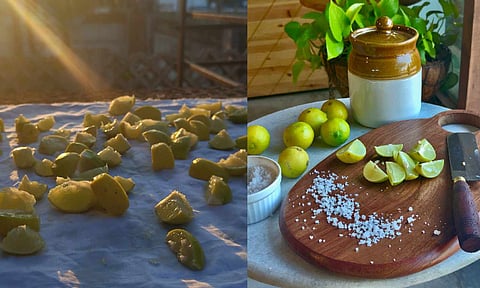  Pickle making on ECR at Hibiscus Cafe