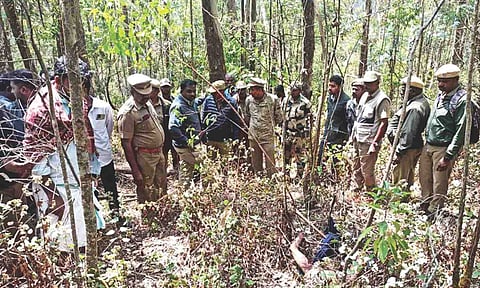 Forest officers at the spot where the man’s partially eaten body was found in Ooty
