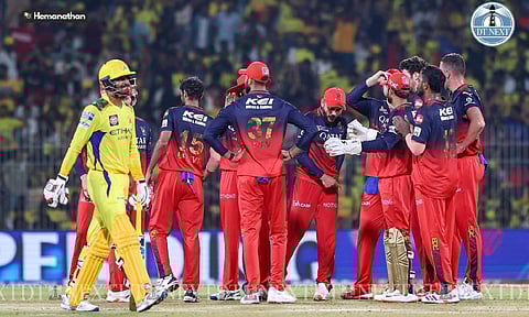 RCB players celebrate after taking a wicket (Photo: Hemanathan M)