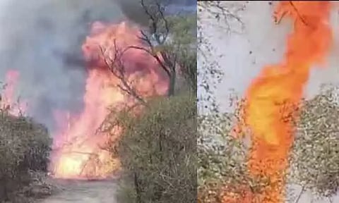 Massive forest fire erupts in the Nilgiris, firefighters push to control blaze