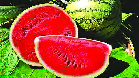 Watermelon