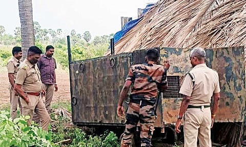 A cage being placed to trap the leopard in Pollachi
