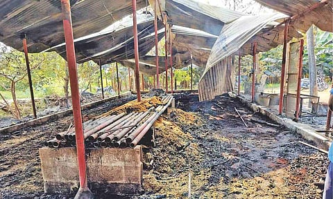 The gutted poultry farm in Erode 