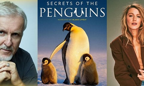 Secrets of the Penguins 