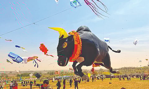The Flying Bull (showcasing Jallikattu) was the centerpiece at the festival 