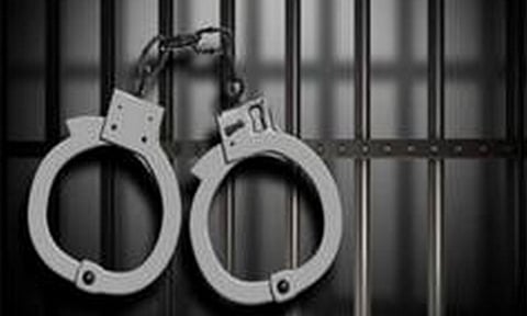 Representative Image (ANI)