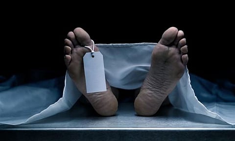 Representative Image (IANS)