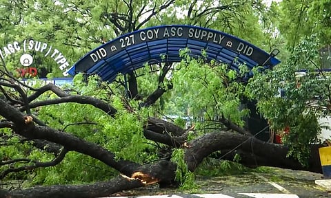 7 dead in rain-related incidents across north India; roads flooded, trees uprooted in Delhi-NCR (PTI)