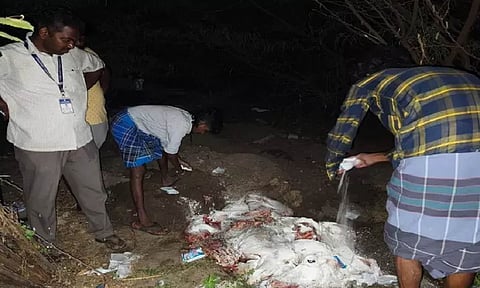 110 kg of stale beef seized, destroyed in Thoothukudi