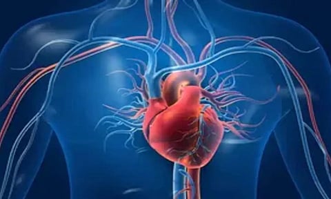 Representative Image (IANS)