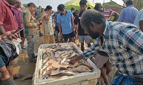 Fishermen getting their daily catch from lakes in Kancheepuram and Chengalpattu districts