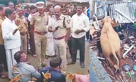 Police interacting with villagers of Pandalur; (right) wild elephant spotted in Nilakottai Bazar area