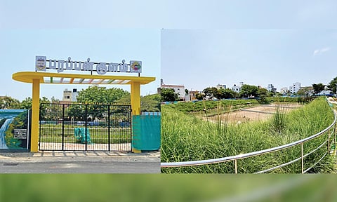 Overgrown grass along the walkways inside the park 