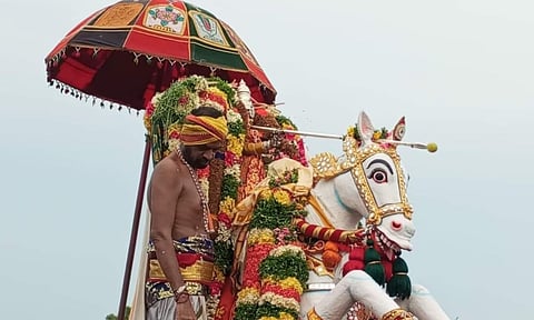 Madurai Chithirai festival (PTI)