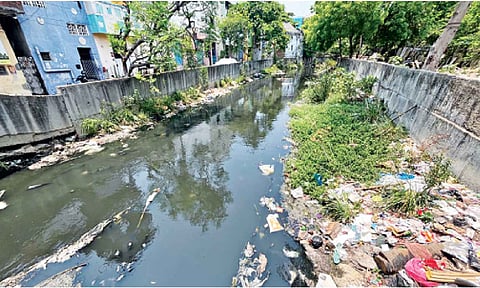 Garbage lines the canal that links to Cooum river