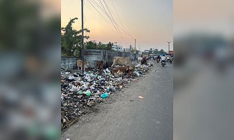 Garbage strewn along roadside in Urapakkam