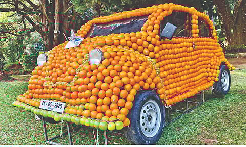 A latest fruit model four-wheeler on display at Sims Park in Coonoor