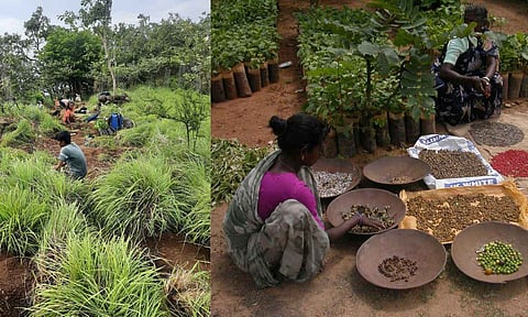 Children planting saplings in the forest region, Picture taken as part of the project