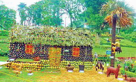The models made of plantation crops exhibited at the three-day event in Kattery Park on Friday 