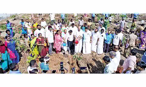 Mega tree plantation drive in Thanjavur