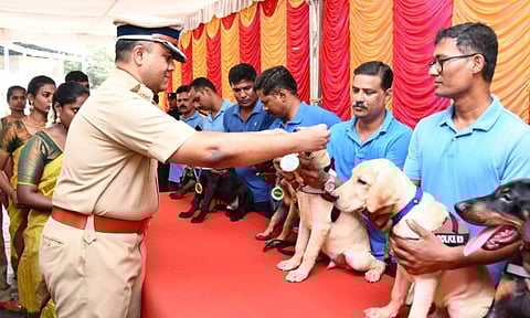 Chennai Police welcomes 11 new canine recruits to strengthen security 