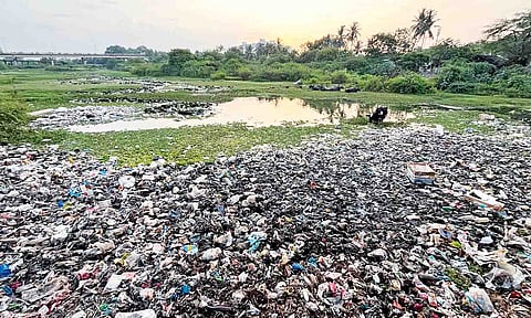  Cooum River near Tiruvallur Railway Station