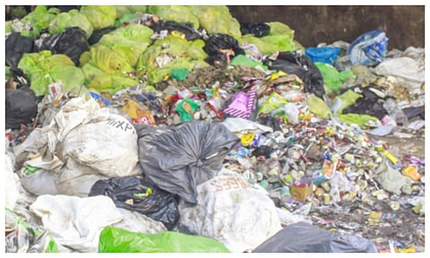 Medical waste dumped in farmlands, waterways (IANS)