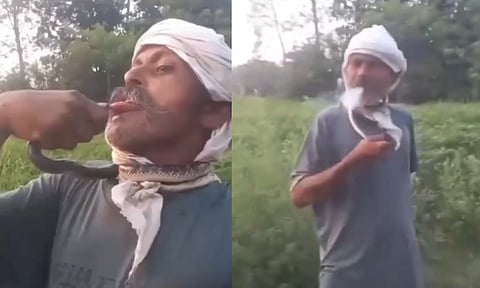 Attempted to kiss a snake for a social media reel (X, @Apka_Priyanshu)