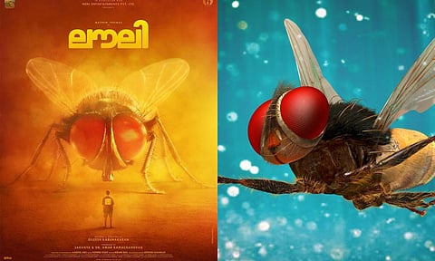 Poster of Lovely, Still from Eega 