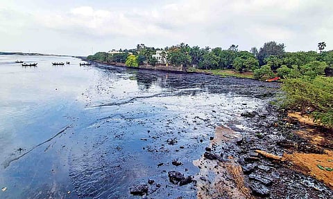 File photo of the 2023 oil spill at Ennore 