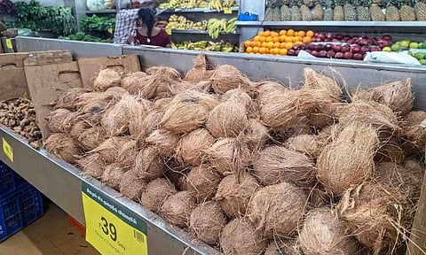 Coconuts touch unreachable rates as supply dips (Photo: Hemanathan M) 