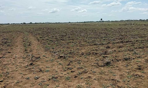 Land ready for cultivation in Thanjavur 