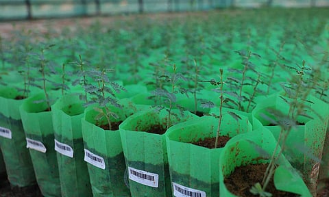 The Middle-East model for land restoration