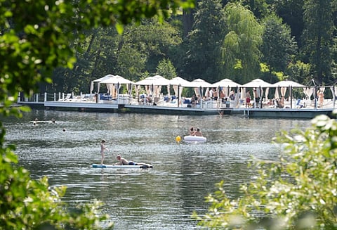 Representative image