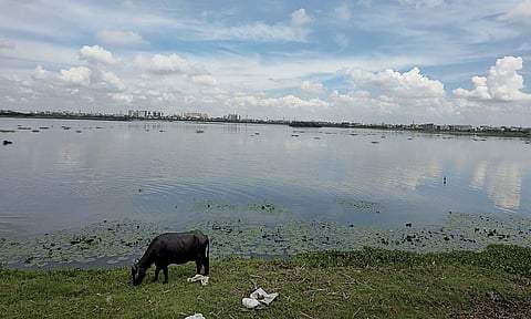 Korattur lake 