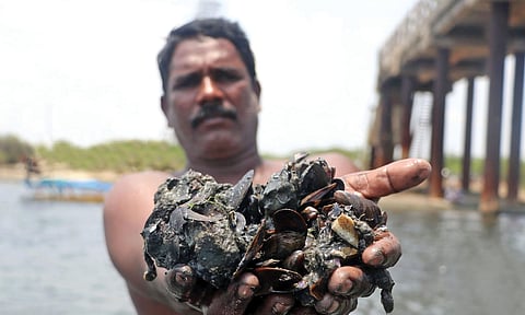 Fisherman with Kakka Aazhi (charru mussels) - File photo 